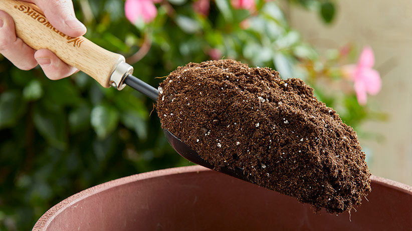 ht-use-old-potting-mix-pv